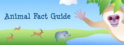 Animal Fact Guide | Animals - LearningReviews