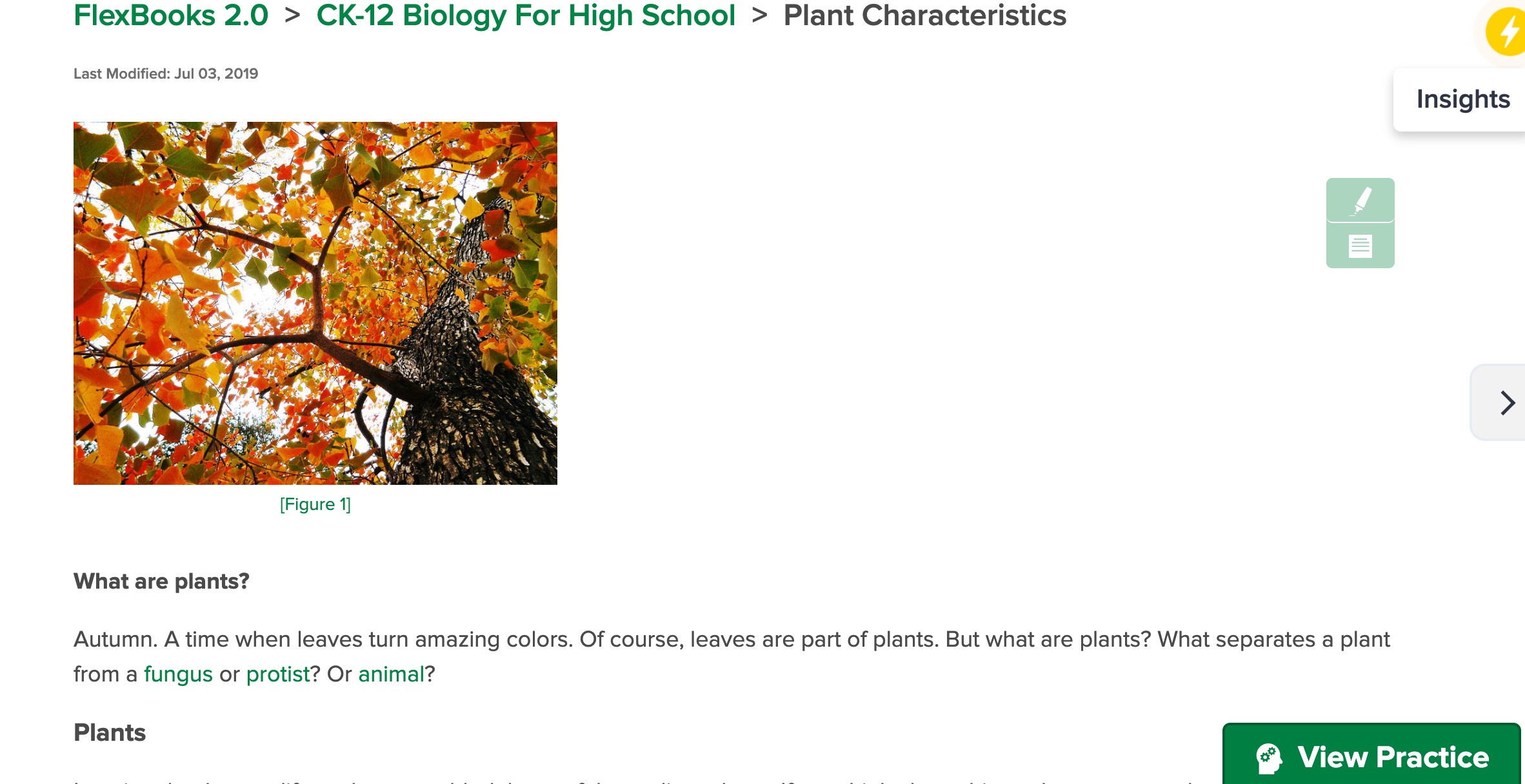 Plant Biology Flexbook for Grades 912 Plants LearningReviews