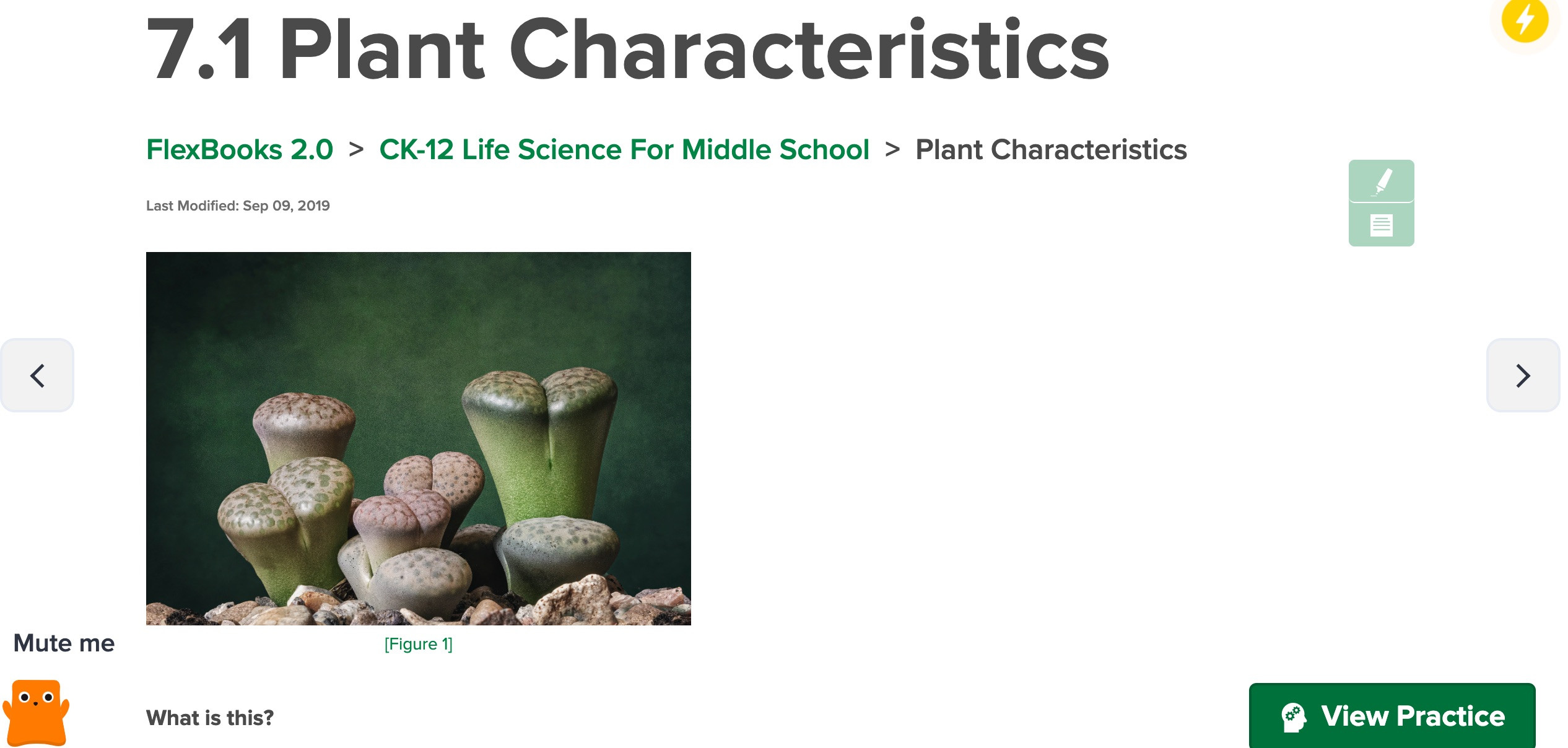 Plant Biology Flexbook For Grades 6-8 | Plants - LearningReviews